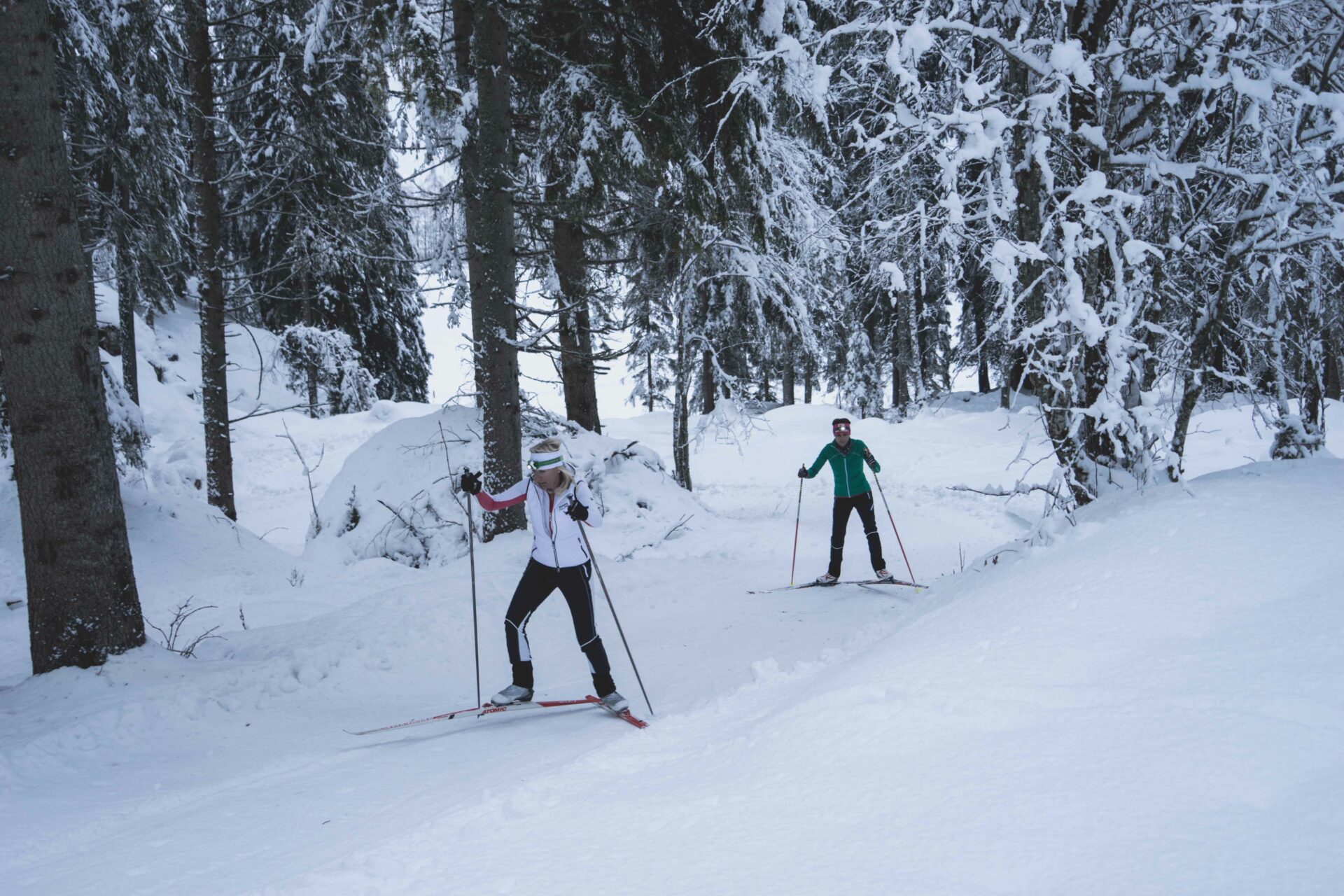 Langlaufsport durch unberührte Wälder