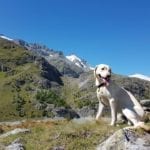 Wandern mit Hund Nationalpark Hohe Tauern