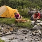 hotel-heiligenblut-nationalpark-lodge-grossglockner-hunde-galerie--2