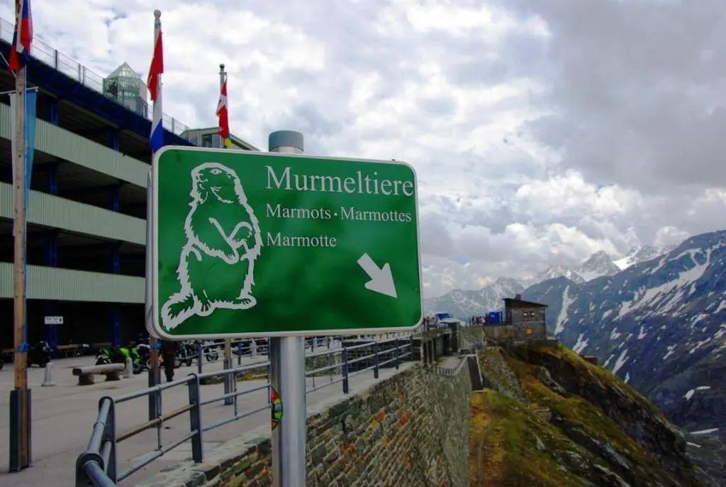hotel-heiligenblut-nationalpark-lodge-grossglockner-region-grossglockner-hochalpenstrasse-galerie--6