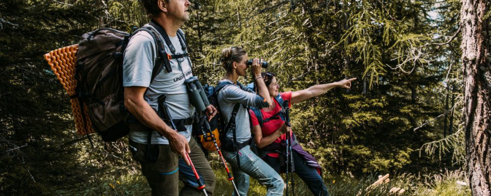 Tiere beobachten beim wandern in Heiligenblut