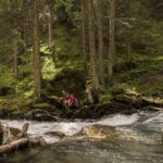 Wilde Wasser - entdecke die schönste Plätze in Heiligenblut
